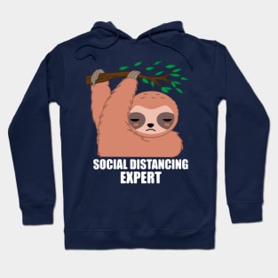 Social Distancing Expert Sloth Hoodie